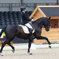 leviheusinkveld_dressage